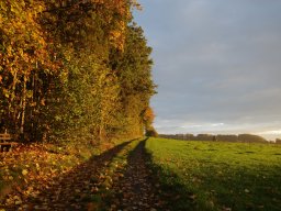 Am Buchwald im Oktober